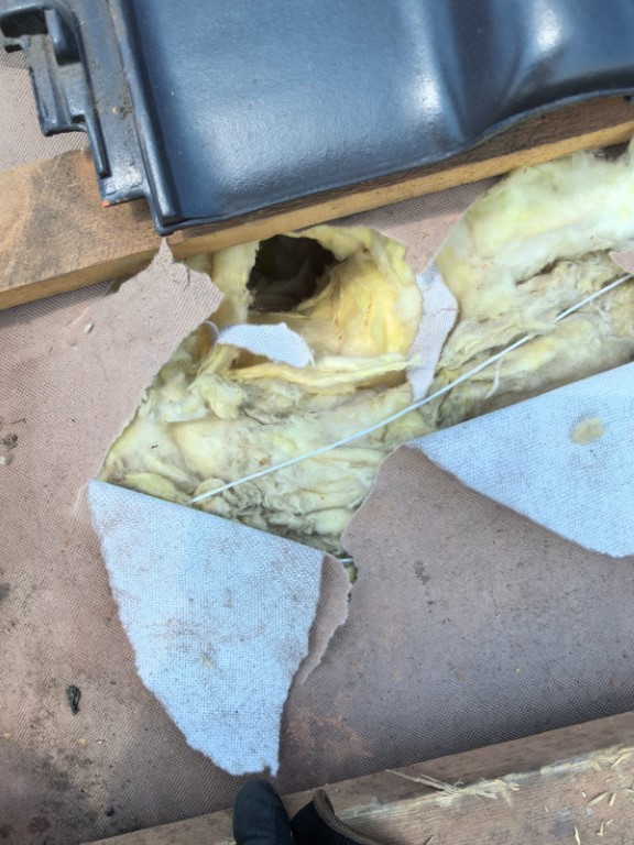 Naprawa izolacji dachowej po kunach - Golkowice — zdjęcie 2 z 8 | NeoTerm System