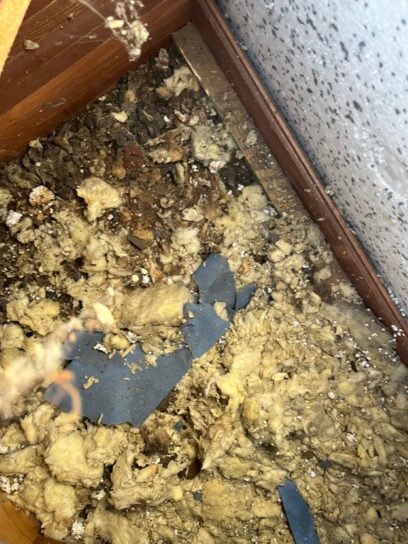 Naprawa izolacji po kunach - Dąbrowa Górnicza — zdjęcie 2 z 8 | NeoTerm System