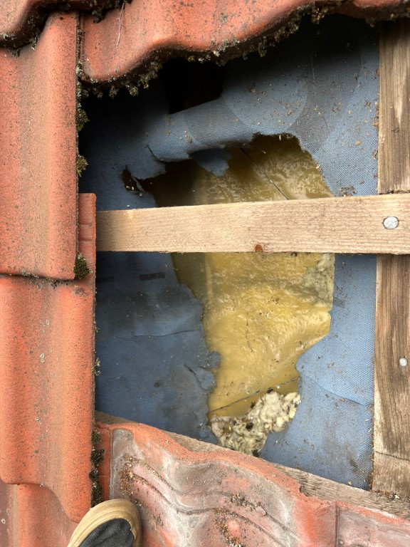 Naprawa izolacji po kunach - Dąbrowa Górnicza — zdjęcie 8 z 8 | NeoTerm System