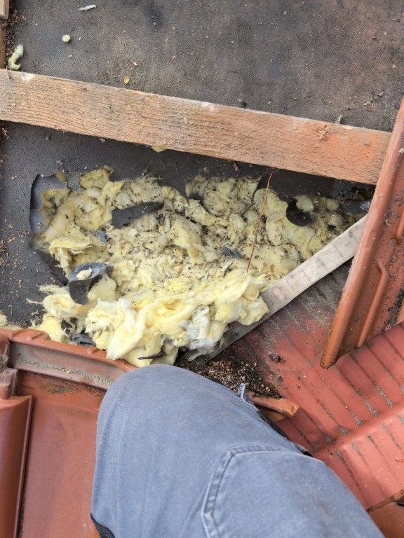 Naprawa izolacji dachowej po kunach - Głuchołazy | NeoTerm System