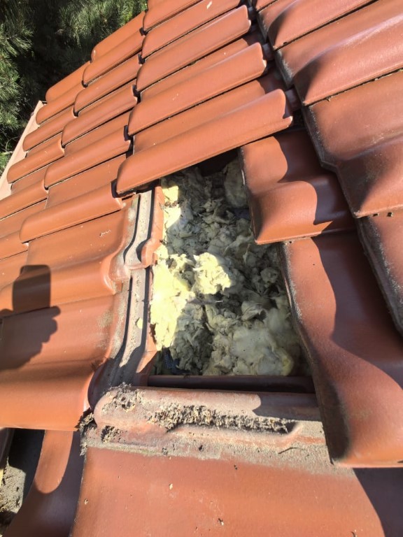 Naprawa izolacji dachowej po kunach - Głuchołazy — zdjęcie 2 z 8 | NeoTerm System