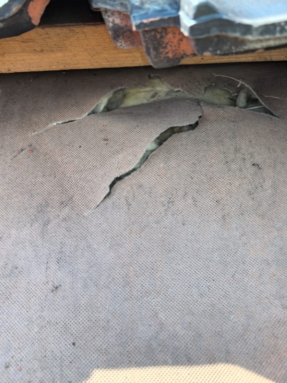 Naprawa izolacji dachowej po kunach - Golkowice — zdjęcie 4 z 8 | NeoTerm System