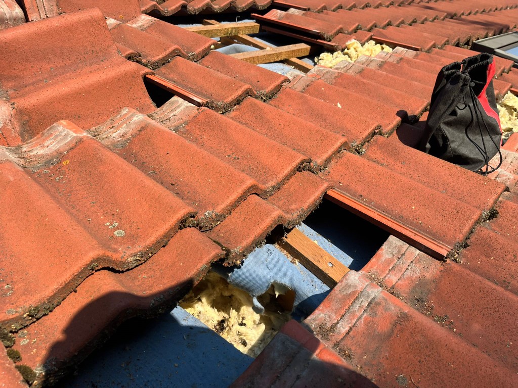 Naprawa izolacji po kunach - Dąbrowa Górnicza | NeoTerm System