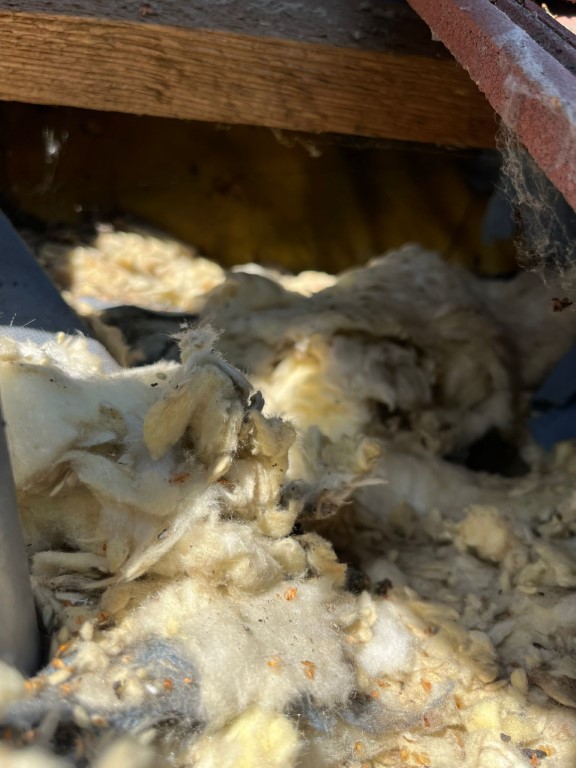 Naprawa izolacji po kunach - Dąbrowa Górnicza — zdjęcie 4 z 8 | NeoTerm System