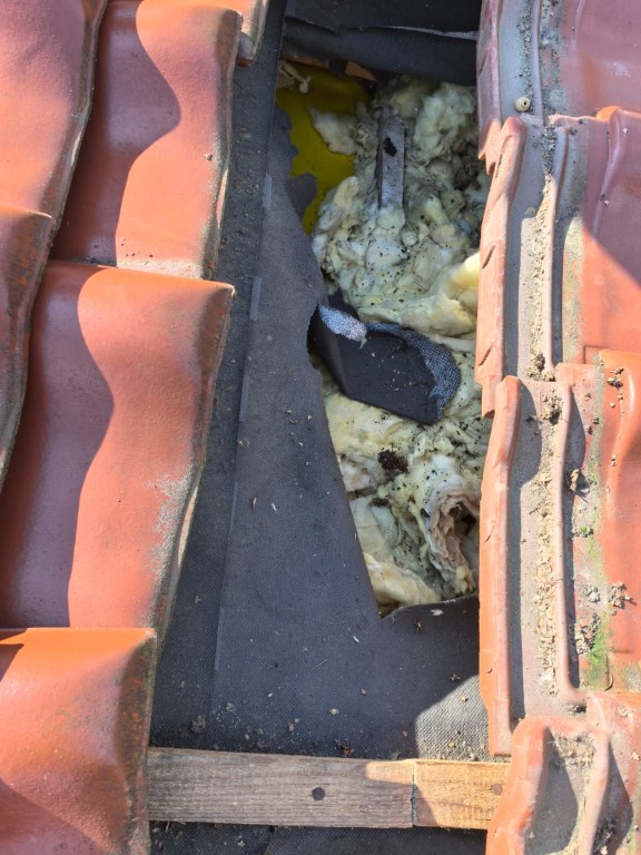 Naprawa izolacji dachowej po kunach - Głuchołazy — zdjęcie 3 z 8 | NeoTerm System