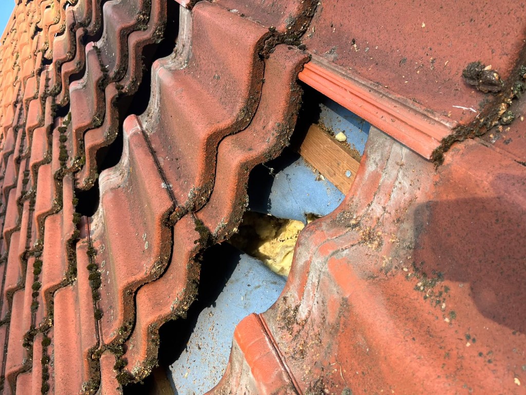 Naprawa izolacji po kunach - Dąbrowa Górnicza — zdjęcie 5 z 8 | NeoTerm System