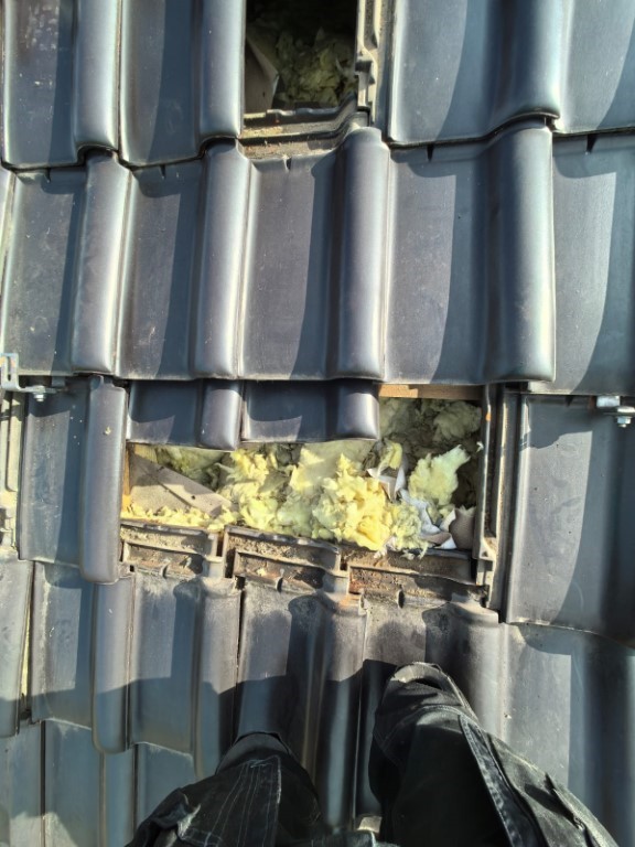 Naprawa izolacji dachowej po kunach - Golkowice — zdjęcie 8 z 8 | NeoTerm System