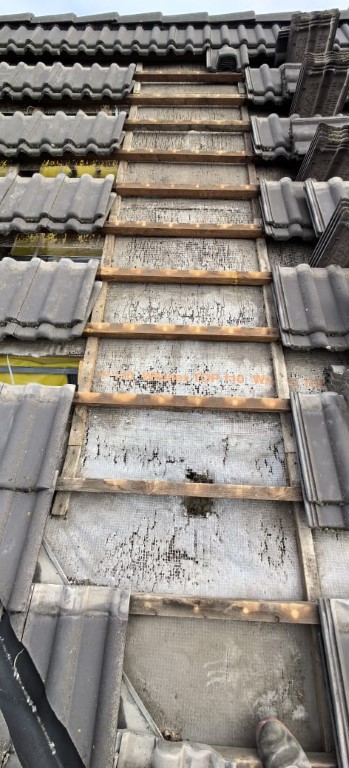 Naprawa izolacji po kunach – Mysłowice, Mielec, Adamów | NeoTerm System