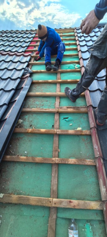 Naprawa izolacji po kunach – Mysłowice, Mielec, Adamów — zdjęcie 2 z 8 | NeoTerm System