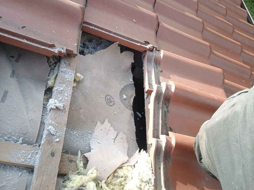 Naprawa izolacji dachowej po kunach - Koczargi Stare — zdjęcie 3 z 8 | NeoTerm System