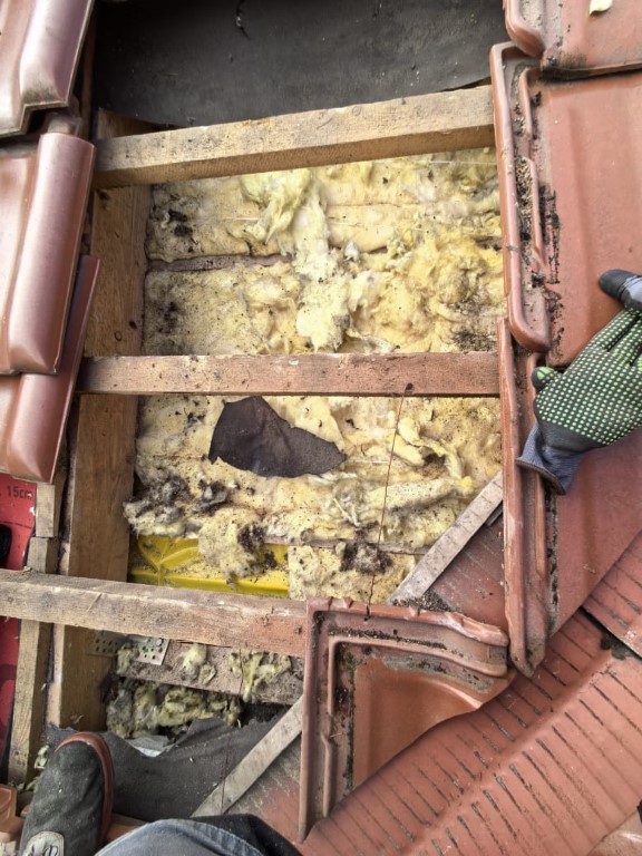 Naprawa izolacji dachowej po kunach - Głuchołazy — zdjęcie 5 z 8 | NeoTerm System