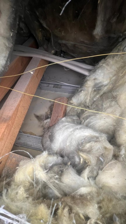 Naprawa izolacji po kunach – Mysłowice, Mielec, Adamów — zdjęcie 3 z 8 | NeoTerm System