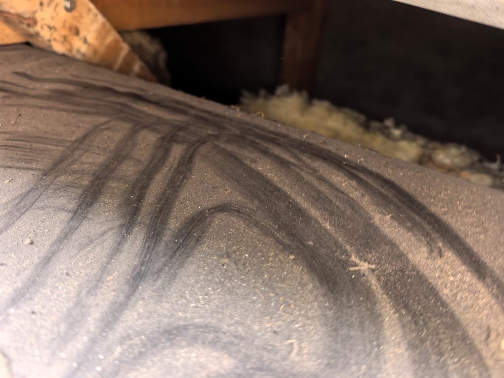 Naprawa izolacji dachowej po kunach - Rydułtowy — zdjęcie 4 z 8 | NeoTerm System