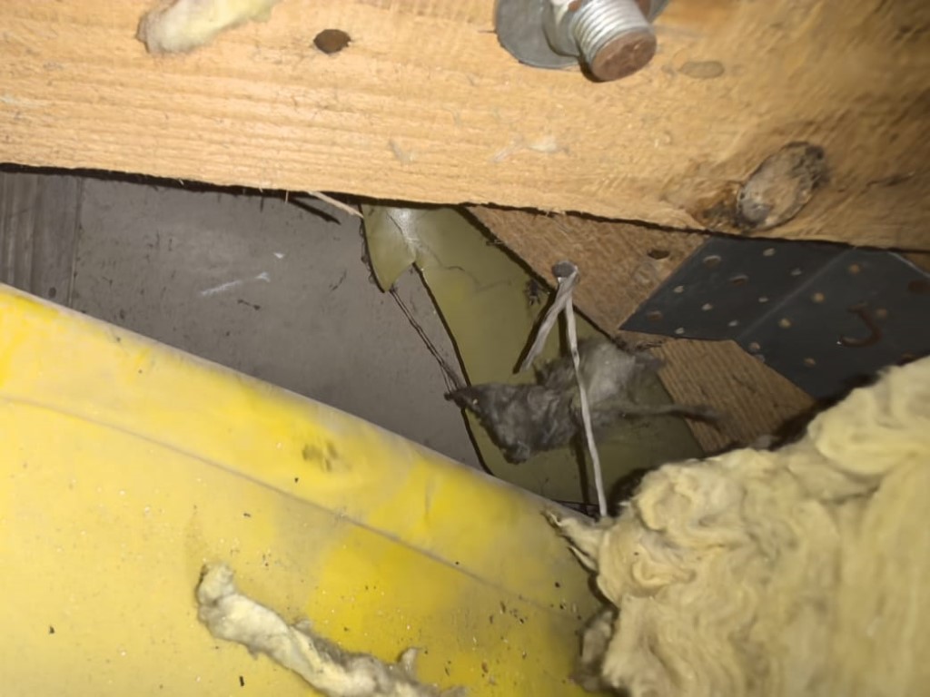 Naprawa izolacji dachowej po kunach - Głuchołazy — zdjęcie 6 z 8 | NeoTerm System