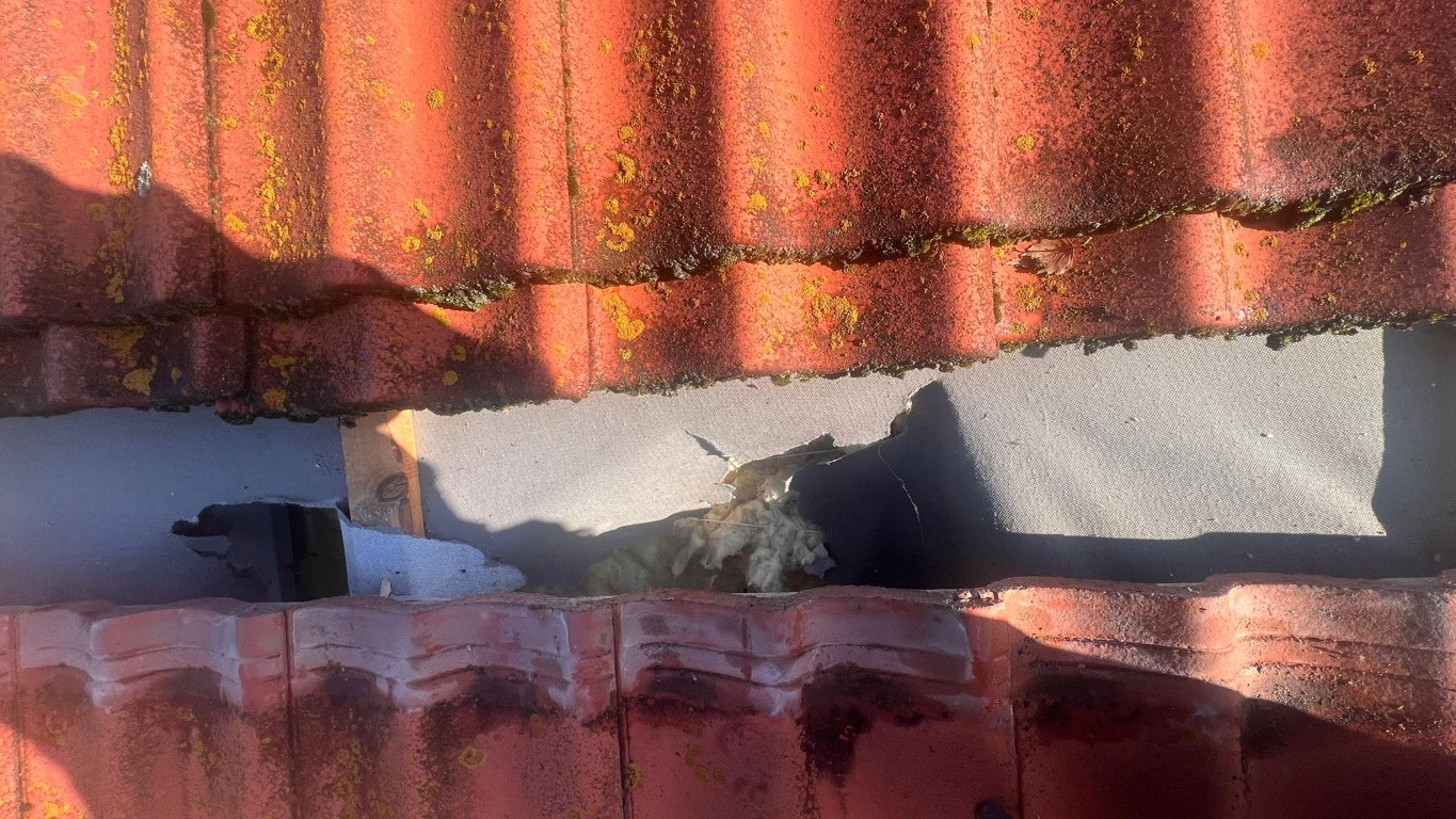 Naprawa izolacji po kunach – Libusza — zdjęcie 3 z 8 | NeoTerm System