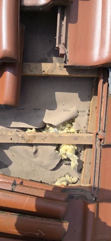 Naprawa izolacji dachowej po kunach - Koczargi Stare — zdjęcie 4 z 8 | NeoTerm System