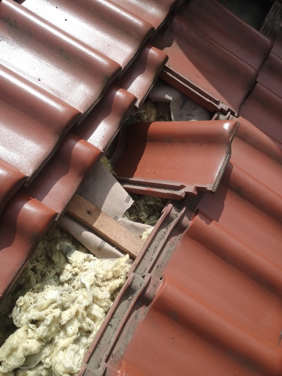 Naprawa izolacji dachowej po kunach - Koczargi Stare — zdjęcie 5 z 8 | NeoTerm System