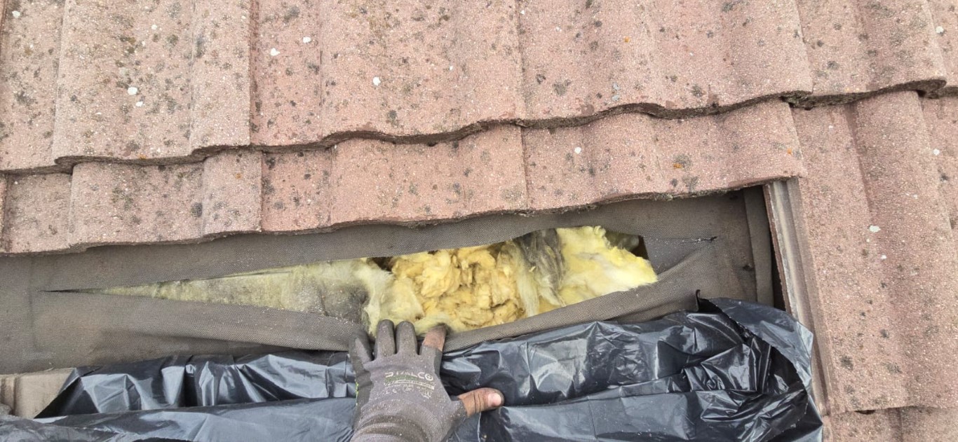 Naprawa izolacji dachowej po kunach - Rydułtowy — zdjęcie 5 z 8 | NeoTerm System