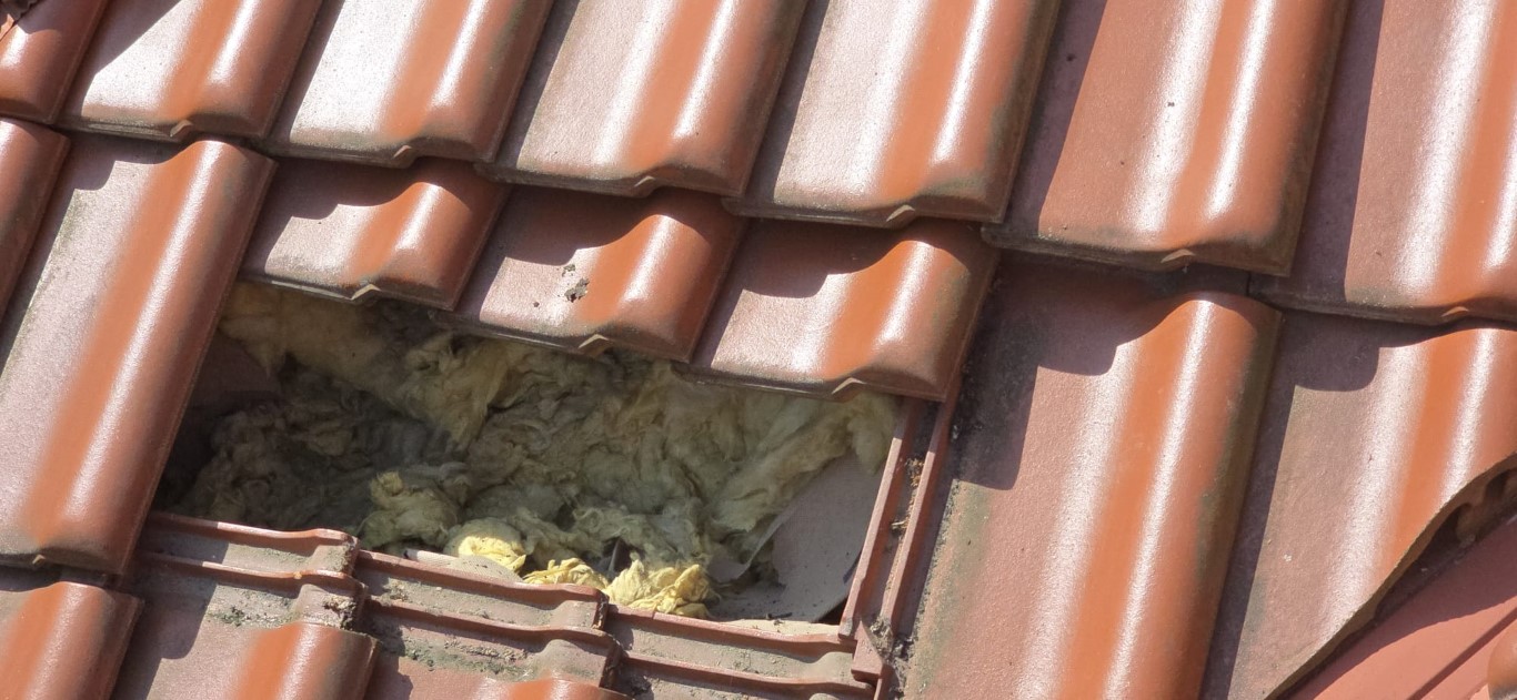 Naprawa izolacji dachowej po kunach - Koczargi Stare — zdjęcie 8 z 8 | NeoTerm System