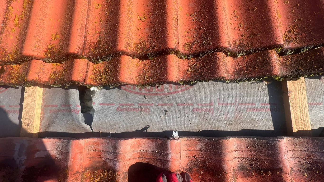 Naprawa izolacji po kunach – Libusza — zdjęcie 6 z 8 | NeoTerm System