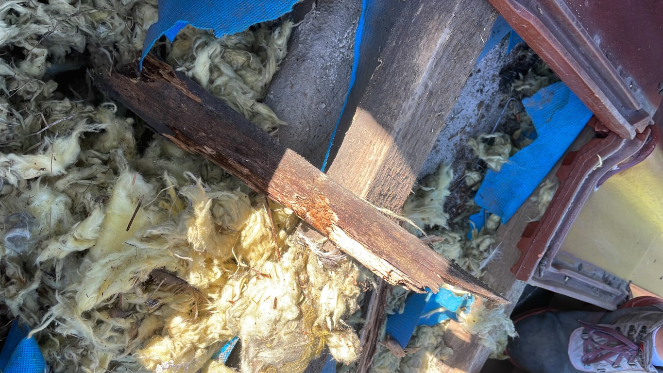 Naprawa izolacji dachowej po kunach - Jastrzębie Zdrój — zdjęcie 6 z 8 | NeoTerm System