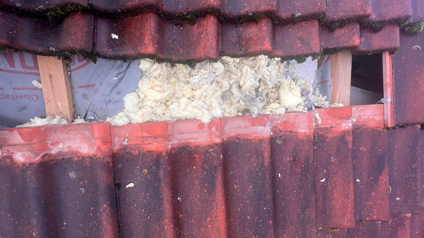 Naprawa izolacji po kunach – Libusza — zdjęcie 7 z 8 | NeoTerm System