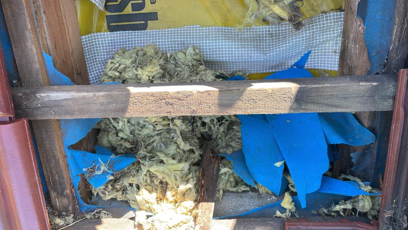 Naprawa izolacji dachowej po kunach - Jastrzębie Zdrój — zdjęcie 4 z 8 | NeoTerm System