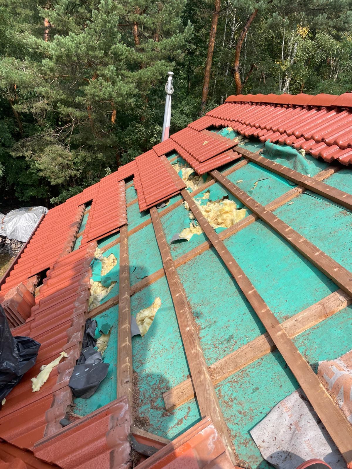 Naprawa izolacji po kunach - Dębica — zdjęcie 2 z 8 | NeoTerm System