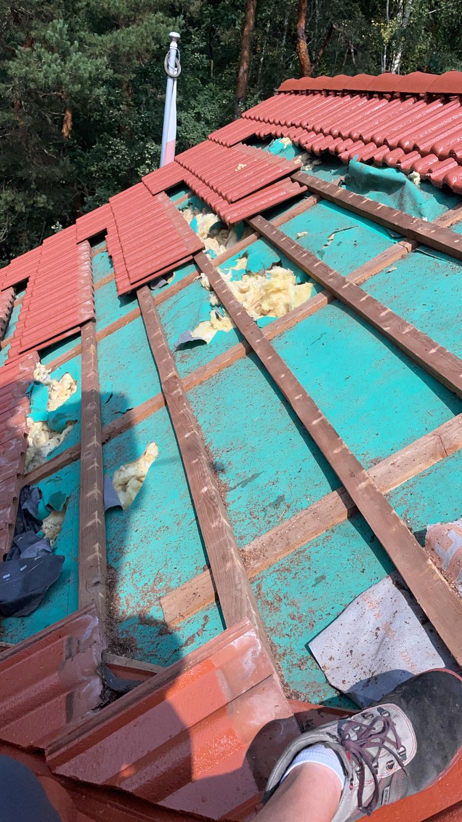 Naprawa izolacji po kunach - Dębica — zdjęcie 3 z 8 | NeoTerm System