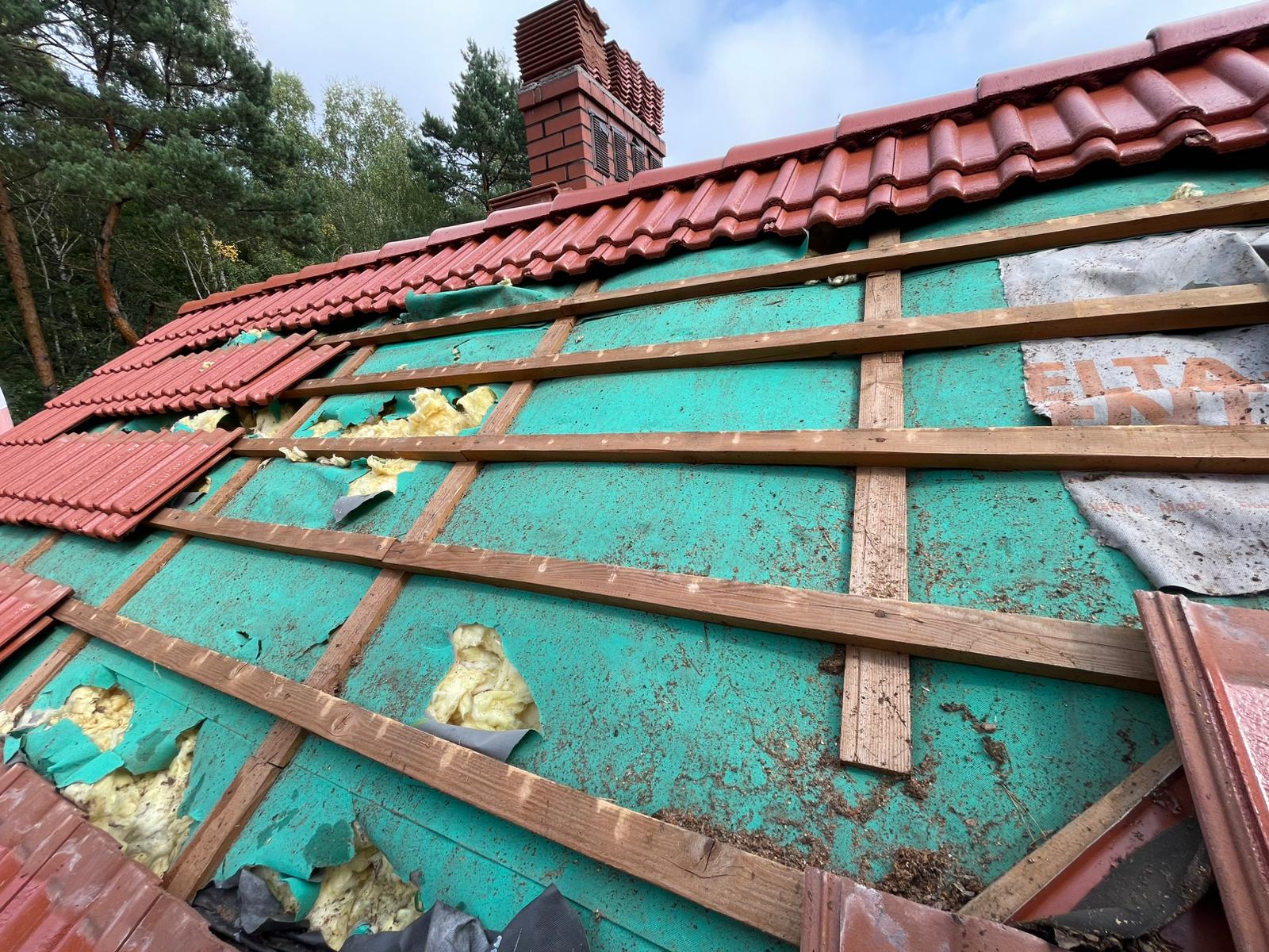 Naprawa izolacji po kunach - Dębica — zdjęcie 4 z 8 | NeoTerm System