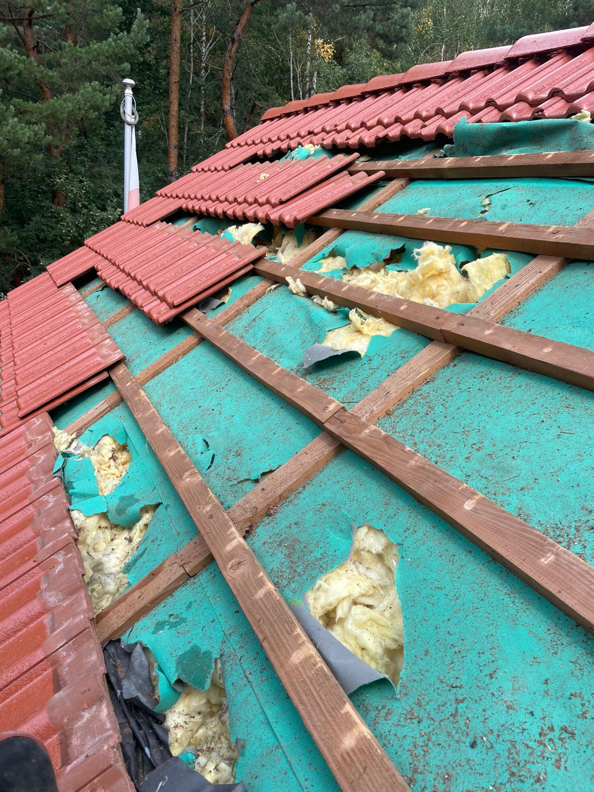 Naprawa izolacji po kunach - Dębica — zdjęcie 5 z 8 | NeoTerm System