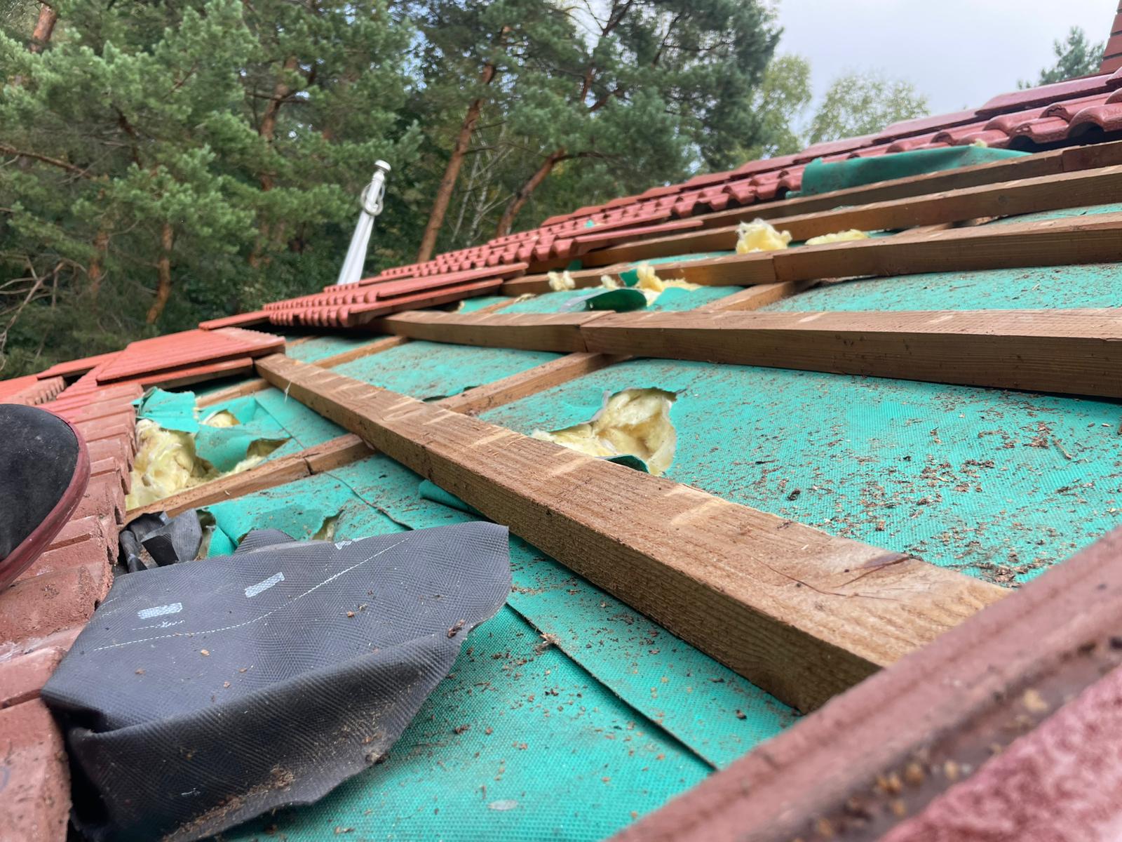 Naprawa izolacji po kunach - Dębica — zdjęcie 6 z 8 | NeoTerm System