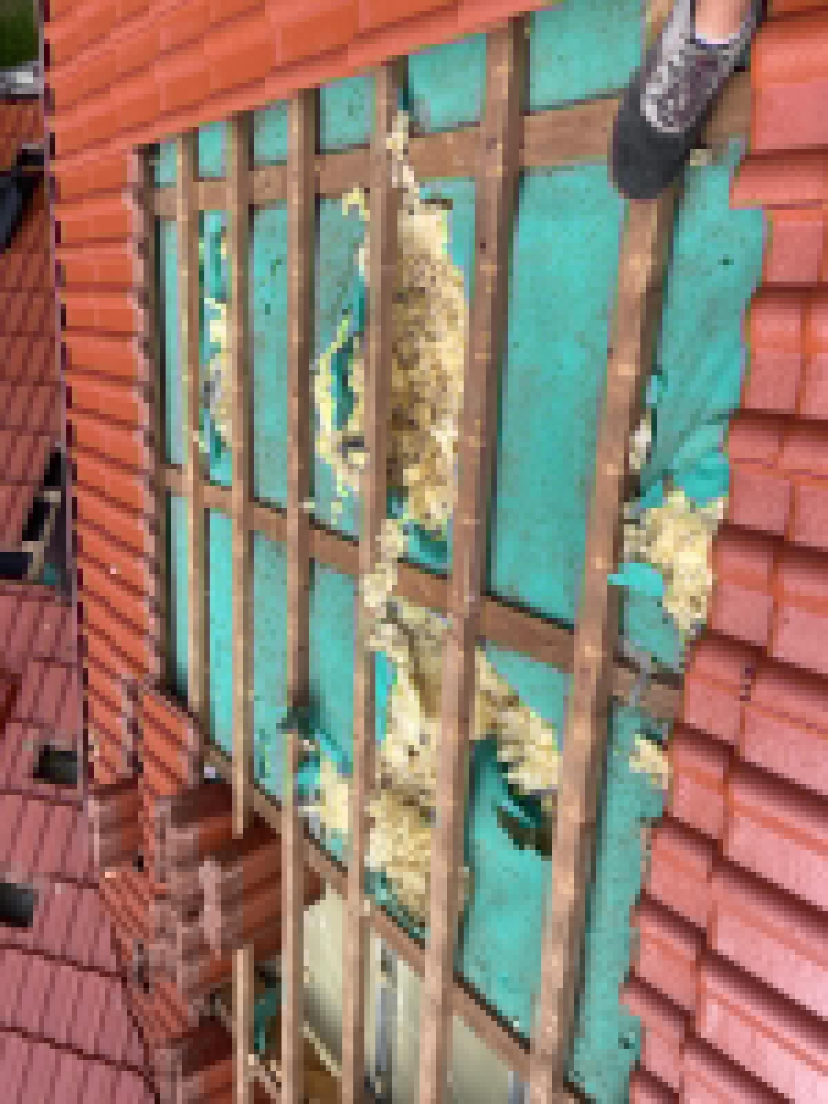 Naprawa izolacji po kunach - Dębica — zdjęcie 7 z 8 | NeoTerm System