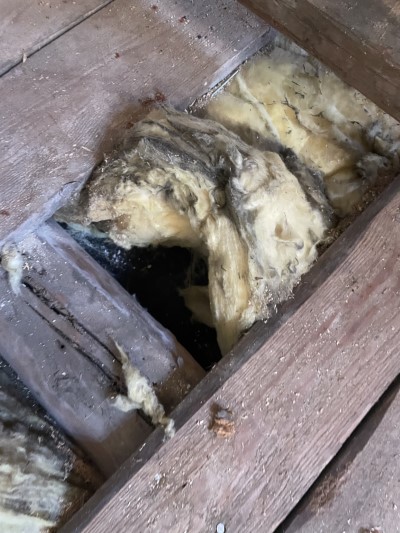 Naprawa izolacji dachowej po kunach – Zabierzów — zdjęcie 4 z 8 | NeoTerm System