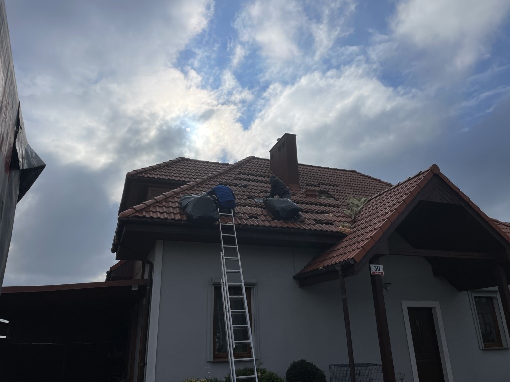 Naprawa izolacji po kunach – Przecław — zdjęcie 4 z 8 | NeoTerm System