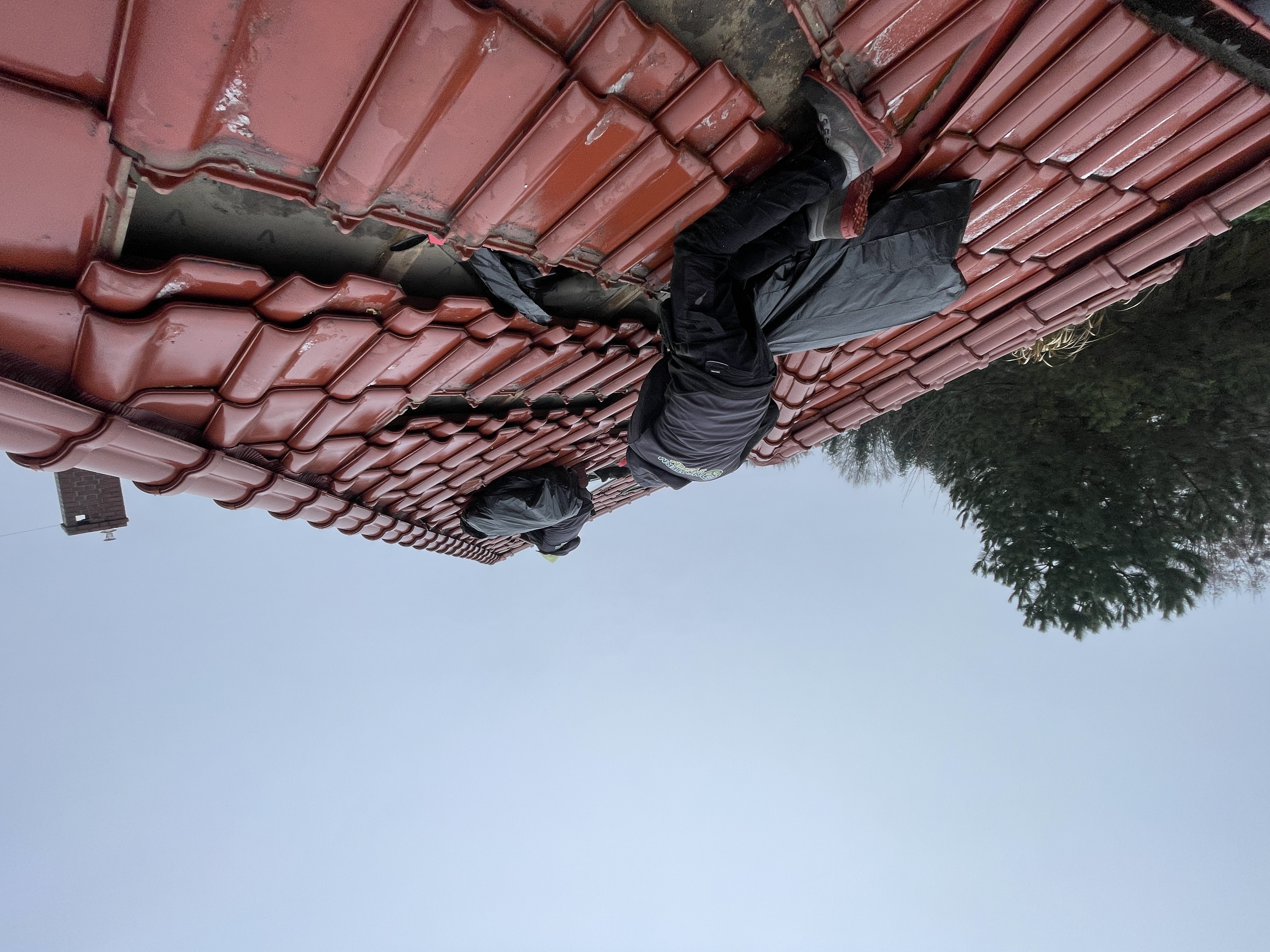 Naprawa izolacji po kunach – Namysłów — zdjęcie 6 z 8 | NeoTerm System