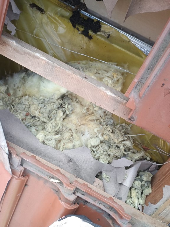 Naprawa izolacji dachowej po kunach - Gruszewnia | NeoTerm System