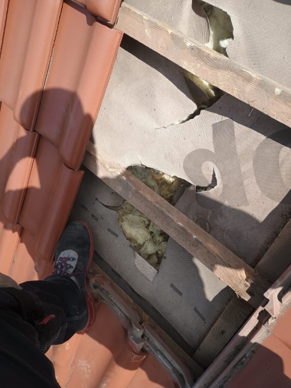 Naprawa izolacji dachowej po kunach - Koczargi Stare | NeoTerm System