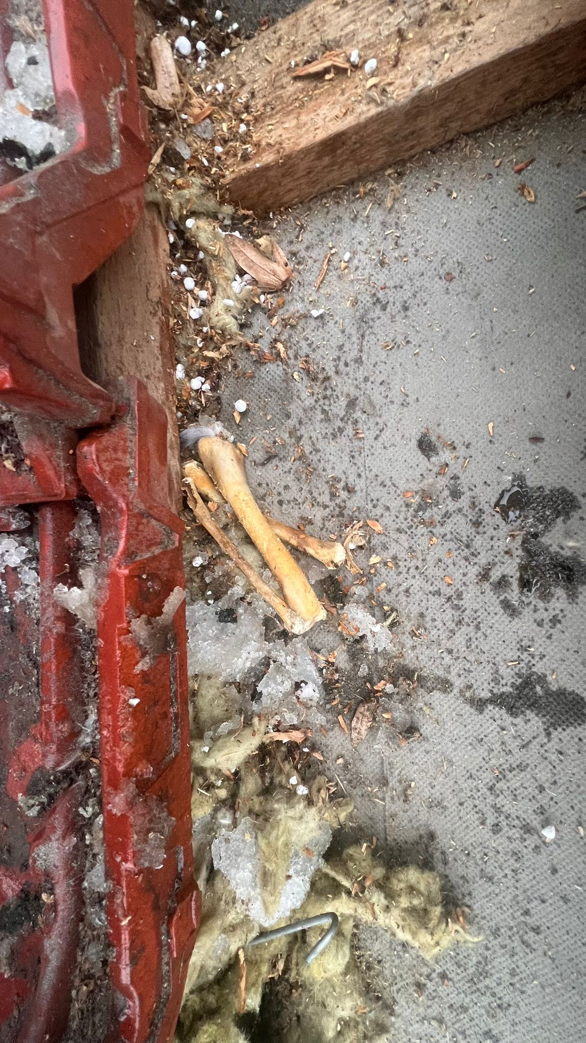 Naprawa izolacji po kunach – Namysłów — zdjęcie 4 z 8 | NeoTerm System