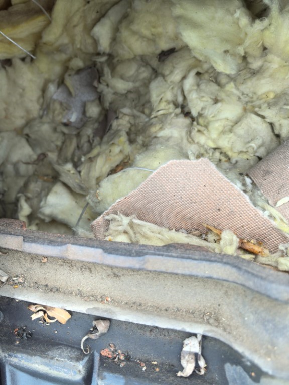 Naprawa izolacji dachowej po kunach - Golkowice | NeoTerm System