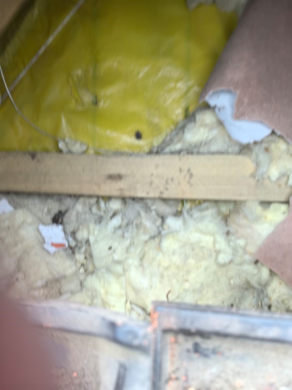 Naprawa izolacji dachowej po kunach - Jastrzębie Zdrój | NeoTerm System